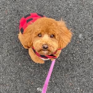 Meet your Posher, Jackie